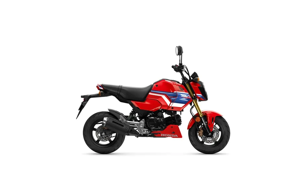 Honda Grom MSX125, moto 125 compacte